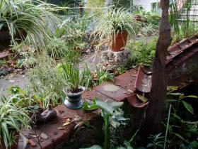 photo coins arrondis